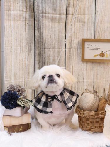 20241003エイトくん